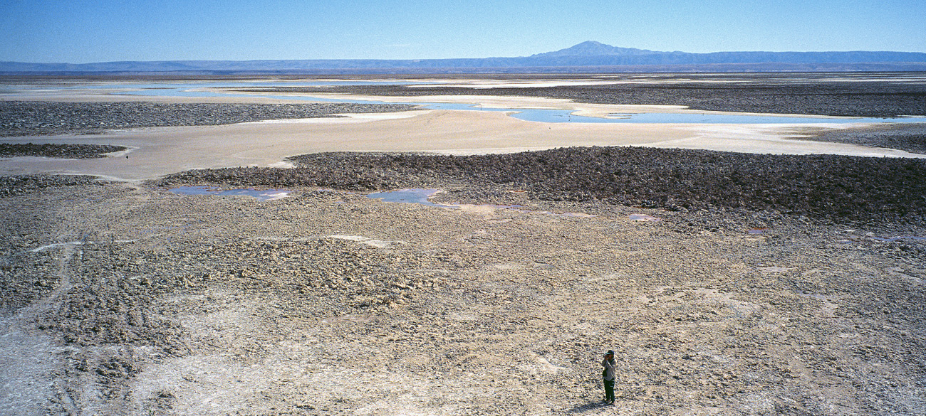 chi_9_33 salar atacama pano.jpg - Atacama Salar d'Atacama quelques petites lagunes abritent une réserve de flamants roses